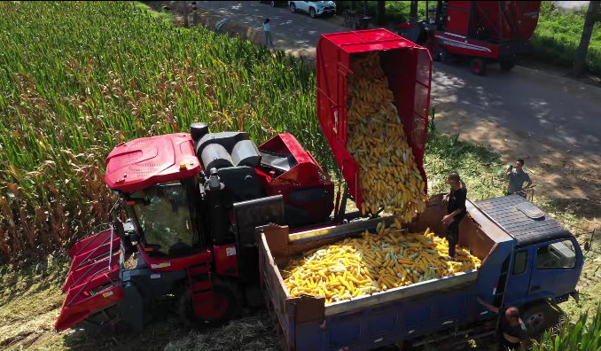 Bumper Harvest