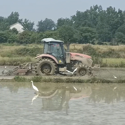 Paddy Field Operation