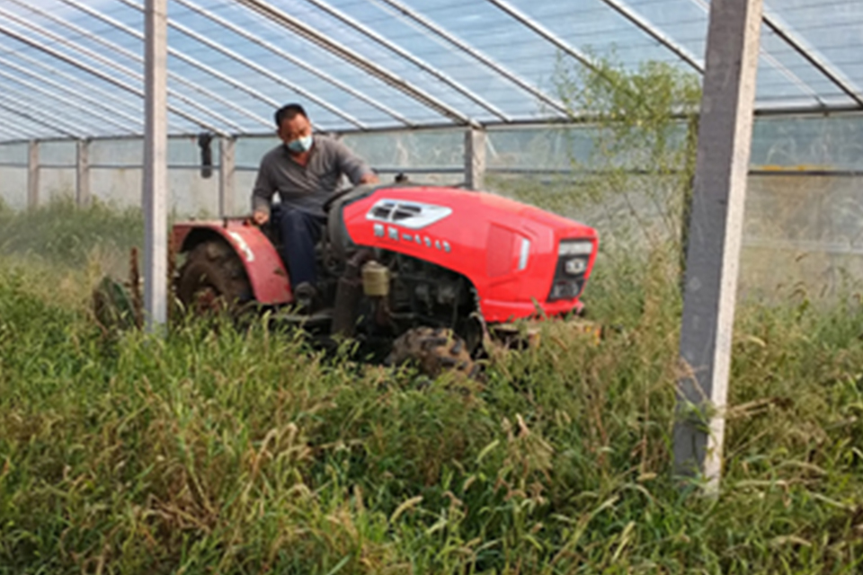 Hanwo "greenhouse king" helps Shouguang increase high yield and income of high-quality vegetables